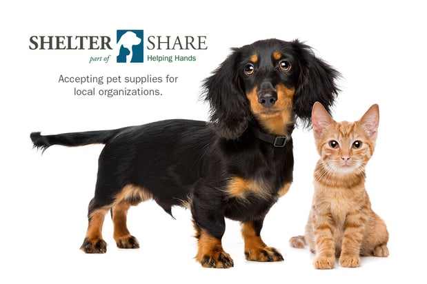 Shelter-Share.jpg